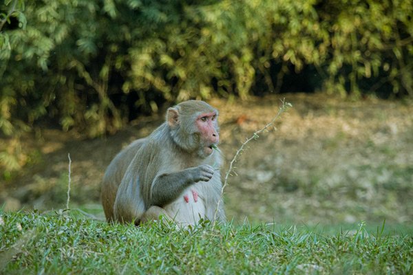 Photo ecologie : comment photoclim transforme l'énergie verte