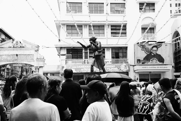 Impact de Vos Choix de Plantes sur la Consommation d'Eau : Ce que Vous Devez Savoir